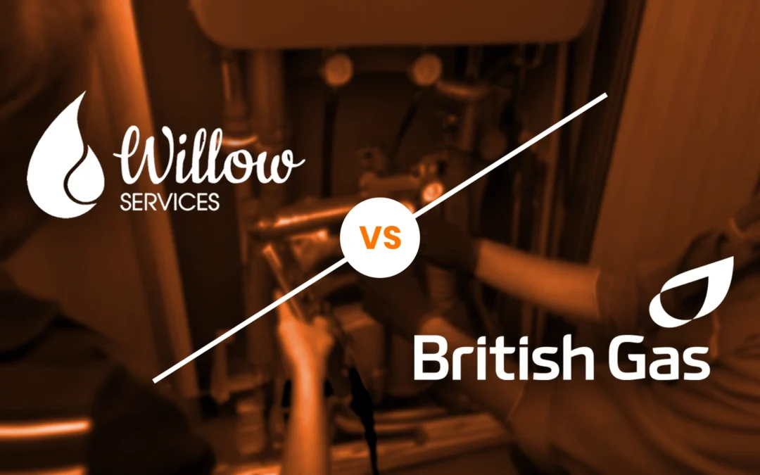 Boiler Services Compared: Willow Services vs British Gas